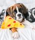 М'яка іграшка для собак піца ZippyPaws NomNomz Pizza з пищалкою 28475 фото 3