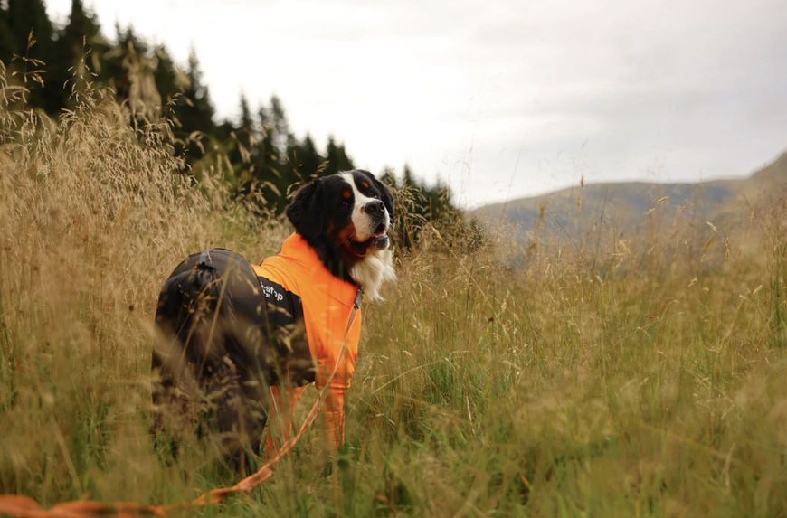 Комбинезон для собак женского пола Non-stop dogwear Protector dog suit F Оранжевый 27 41074 фото