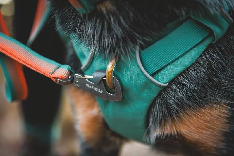 Шлейка-рюкзак для собаки Ruffwear Front Range&trade; L/XL Зеленый 30984 фото