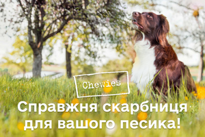 Chewies: Справжня скарбниця для вашого пухнастого друга! фото