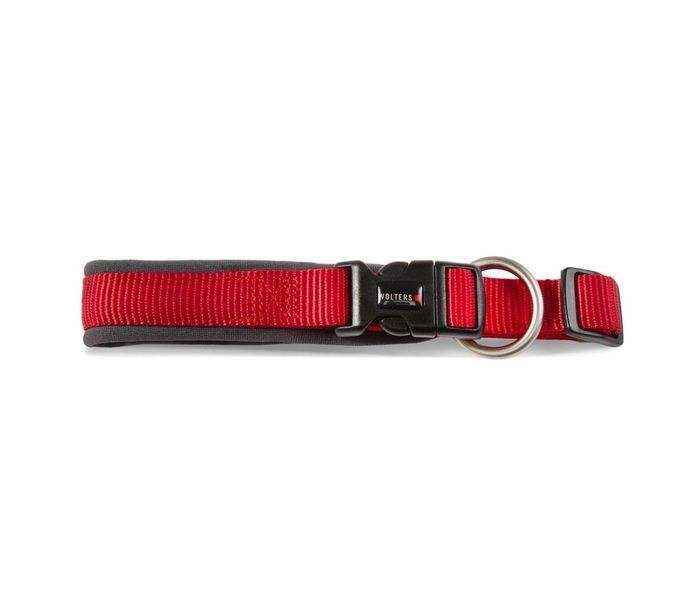 Ошейник для собак смягченный Wolters Professional Comfort 1 25-30 см / 25 мм Красный 28220 фото