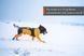 Комбінезон для собак чоловічої статі Protector snow Non-stop dogwear Чорний/Помаранчевий L 40869 фото 9