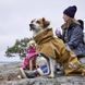 Дощовик для собак Hurtta Monsoon coat II ECO Бежевий 25 33319 фото 3