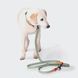 Біотановий повідець вільні руки для собак Cloud7 Hands-Free-Leash Ipanema М'ятний 1,6 - 2,6 м One Size 45787 фото 6