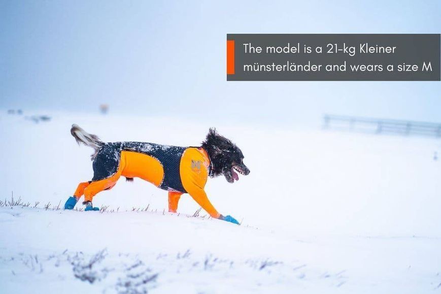 Комбінезон для собак чоловічої статі Protector snow Non-stop dogwear Чорний/Помаранчевий L 40869 фото