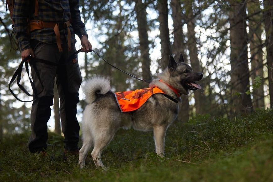 Камуфляжна накидка для собак Camo cover Non-stop dogwear Помаранчевий/S 40808 фото