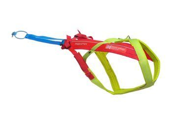 Шлейка для собак Freemotion harness 5.0 LTD Non-stop dogwear Жовтий/Рожевий/Блакитний 3 40665 фото