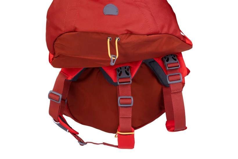 Шлейка-рюкзак для собаки Ruffwear Palisades&trade; L/XL Красный 30987 фото
