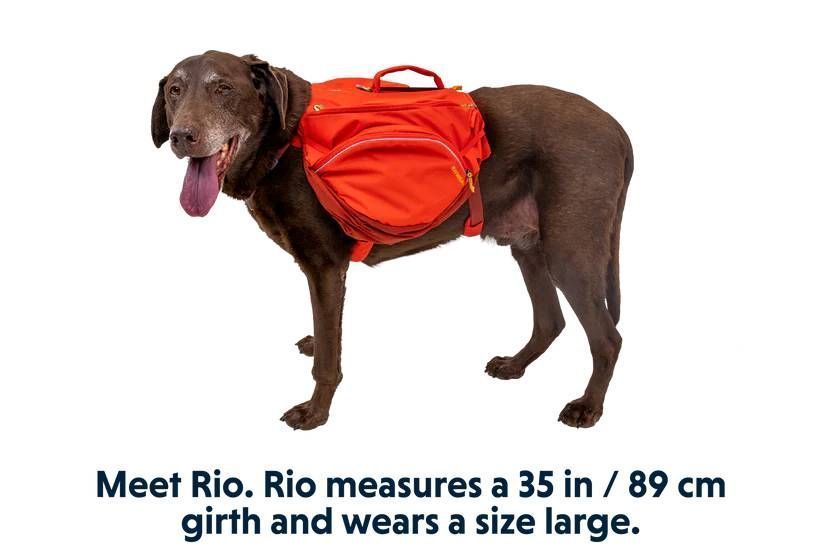 Шлейка-рюкзак для собаки Ruffwear Palisades&trade; L/XL Красный 30987 фото