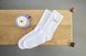 Шкарпетки для власників собак Palopa Tennis Socks Badger Dog 40-45 45550 фото 3