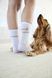 Шкарпетки для власників собак Palopa Tennis Socks Long Badger Dog 35-40 45551 фото 4