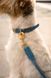 Нашийник для собак FuzzYard LIFE Atelier Блакитний M 46595 фото 2