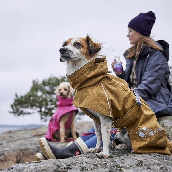 Дощовик для собак Hurtta Monsoon coat II ECO Бежевий 35 33322 фото