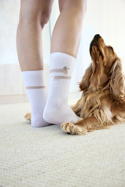 Шкарпетки для власників собак Palopa Tennis Socks Long Badger Dog 40-45 45552 фото