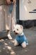 Поводок для собак FuzzYard LIFE Atelier Голубой S 46596 фото 4