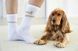 Шкарпетки для власників собак Palopa Tennis Socks Long Badger Dog 40-45 45552 фото 2