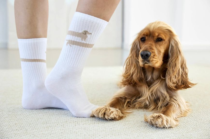 Шкарпетки для власників собак Palopa Tennis Socks Long Badger Dog 40-45 45552 фото