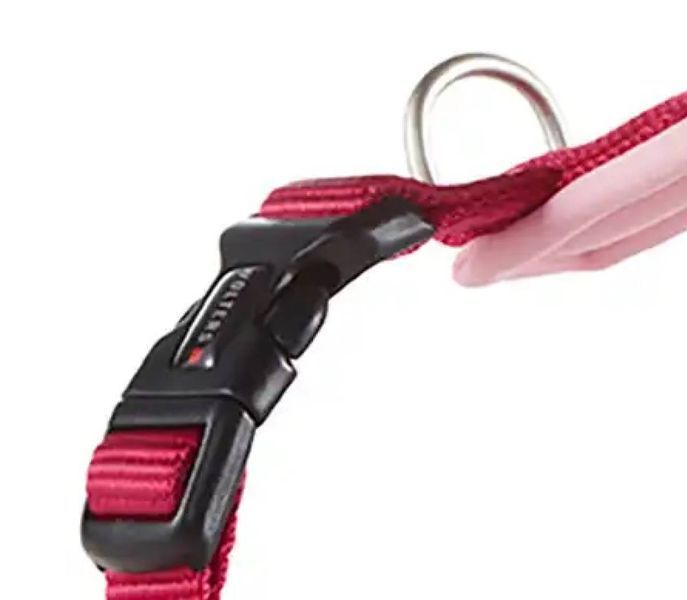 Шлейка для собак смягченная Wolters Professional Comfort 2A 45-50 см / 25 мм Малиновый 28282 фото