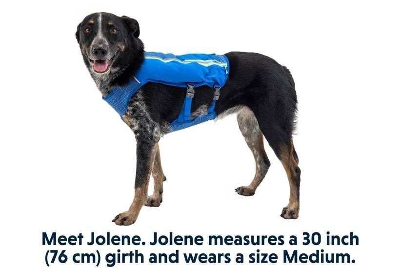 Жилет-шлея для бігу Ruffwear Trail Runner&trade; L/XL Синій 30991 фото