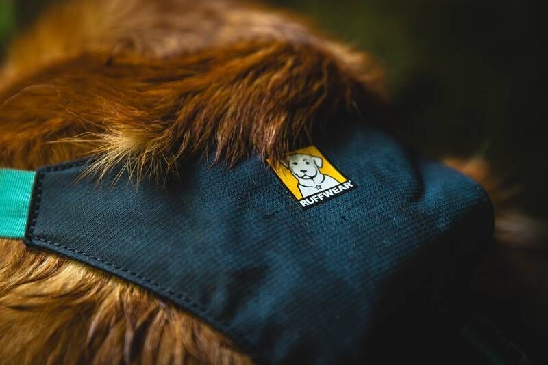 Легка шлейка для собак Ruffwear Flagline&trade; XS 43-56 см Сірий 30747 фото