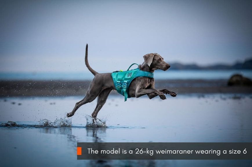 Спасательный жилет для собак Protector life jacket Non-stop dogwear Бирюзовый 2 40503 фото