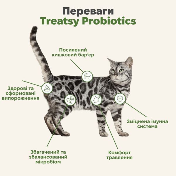 Вітамінний комплекс із пробіотиками для котів Treatsy Probiotics 90 г/120 шт. 48900 фото
