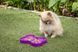 Миска слоуфидер для маленьких собак LickiMat Small Slodog Purple 30348 фото 3