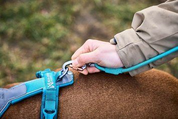 Повідець для собак Trekking rope leash Non-stop dogwear Бірюзовий 2,8 м/8 мм 41380 фото