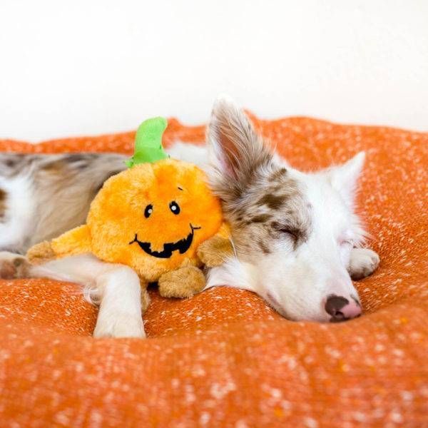 Мягкая игрушка для собак хеллоуин тыква ZippyPaws Brainey Pumpkin с пищалкой 28503 фото